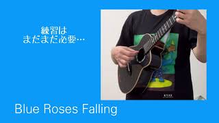 Blue Roses Falling 練習記録 [upl. by Darahs134]