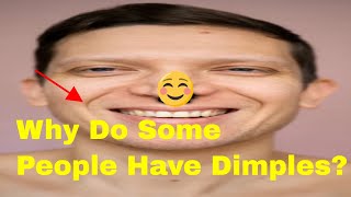 Why Some Smiles Have Dimples—The Facts Behind The Facial Feature [upl. by Luedtke494]