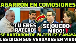 🔴AGARRÓN EN COMISIONES Dejan CALLADO a RICARDO ANAYA Y LILLY TELLEZ en DEBATE POR ÉSTO [upl. by Nolte]