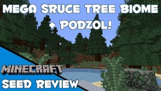 MEGA SPRUCE TREE BIOME  PODZOL AT SPAWN  Minecraft 17 [upl. by Asirem556]