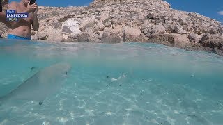 Lampedusa  Isola dei Conigli un bel giorno di settembre [upl. by Ruhtracam]