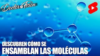 DESCUBREN MECANISMO de ENSAMBLAJE MOLECULAR 🔬 [upl. by Colp]