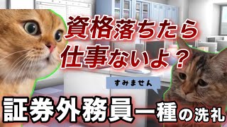 【銀行員の資格】証券外務員一種落ちた話 猫ミーム catmemes [upl. by Forkey]