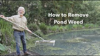 How to Remove Floating Pond Weed [upl. by Nibot]