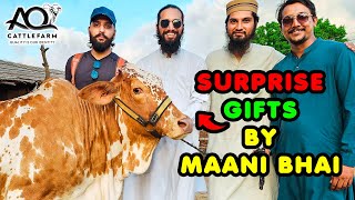 3 NEW ENTRIES 😍 SURPRISE GIFTS by Maani Bhai for AQ Cattle Farm  Cattle Market Karachi [upl. by Astrid]