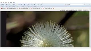 Trabajar con Mendeley desde Microsoft Word [upl. by Yellehs459]