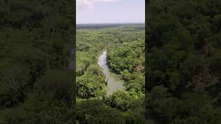 Experience TRUE NATURE at Copal Tree Lodge belize belizevacation travel vacation explorebelize [upl. by Elleron]