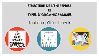 STRUCTURE ET ORGANIGRAMME DE LENTREPRISE tout ce quil faut savoir [upl. by Nivahb]