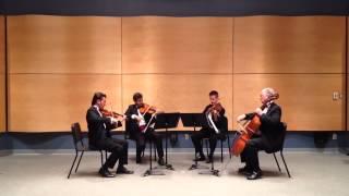 Millenius String Quartet  Edelweiss The Sound of Music [upl. by Auqenes]