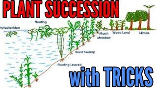 Tricks for Succession in Plants Hydrarch and xerarch Must watch video [upl. by Annohsat]