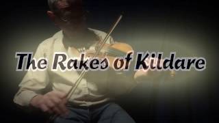 Rakes of Kildare Jig [upl. by Constantia]