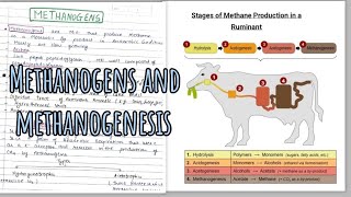 Methanogenesis  Methanogens 🤩 [upl. by Faunia]