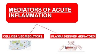 Mediators of Acute Inflammation [upl. by Oilejor181]