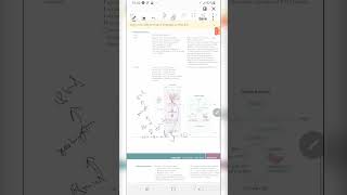 Parathyroid gland AnatomyEmbryologyPhysiology [upl. by Addia498]