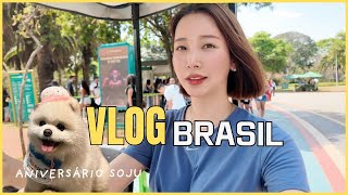 KOREAN MODELS WEEKEND IN BRAZIL biking dogs birthday and dinner [upl. by Ataynik]