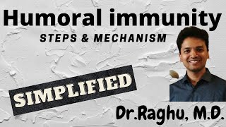 Humoral immunity Antibody mediated immunity  steps amp mechanism [upl. by Akeimat]