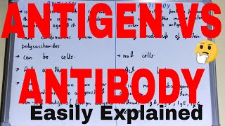 Antigen vs AntibodyDifference between antigen and antibodyAntigen and antibody difference [upl. by Robbyn213]