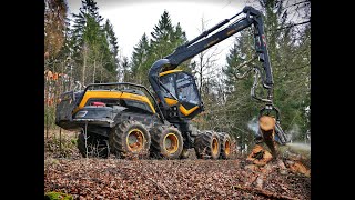 🌲4K Ponsse ScorpionKing amp Vorfäller • Big trees vs Harvester • Forestwork • Ponsse Logging🌲 [upl. by Hnamik]