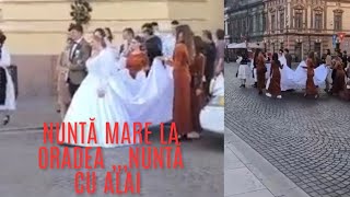 Nunta Anului La Oradea  La Primăria Oradea cu Ceterași [upl. by Suoilenroc]