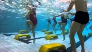 ACQUA FITNESS UISP  Step  Piscina Costolina [upl. by Einnor534]