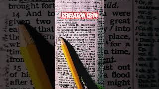 Revelation 1214 revelation revelation12 jesus bible [upl. by Edwyna358]