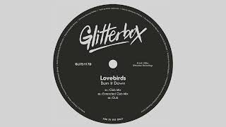 Lovebirds  Burn It Down Extended Club Mix [upl. by Nolos]