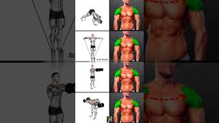 Achieve Wider Shoulders at Home with These 4 Effective Exercises 💪 shoulder shoulderworkout gym [upl. by Nohtiek790]