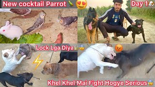 Khel Khel Mai Coco Or Jora Ka Serious Panga Hogya😨Lock B Lga Diya😡Tarzan Ka First Day🐶New Cocktail🦜 [upl. by Kris]