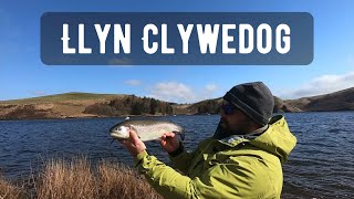 Llyn Clywedog Early Season Bank Fishing 2021  Rainbow Red letter day [upl. by Diena]