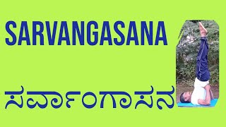 SARVANGASANA ಸರ್ವಾಂಗಾಸನENGLISH2024 [upl. by Aldred]