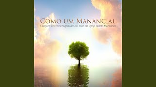 Como um Manancial [upl. by Ainotal]