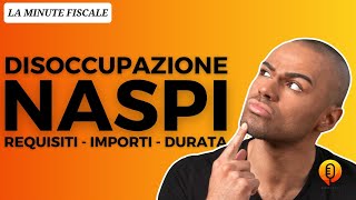 👨🏾‍💻Disoccupazione NASPI 2023 Requisiti importi e durataLMF [upl. by Ieluuk]