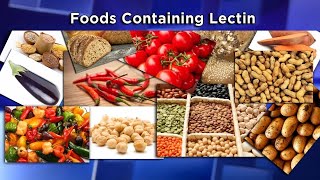 Lectins The New Diet Enemy [upl. by Anirahs773]