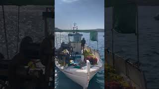 fisherman cleaning the fishing nets in the Port of Skyros fishing fisherman fishingboat [upl. by Trixi]