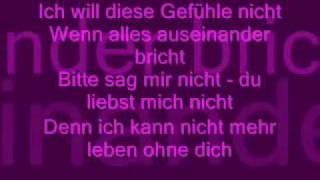 viele dieser lieder [upl. by Etan635]