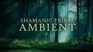 Ancestral Shamanic tribal ambient by Paleowolf [upl. by Sitof242]