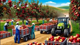 How to Grow Millions of Apple Trees Seedling Production Harvesting and Processing [upl. by Price]