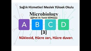 Temel Mikrobiyoloji 3 [upl. by Giwdul]