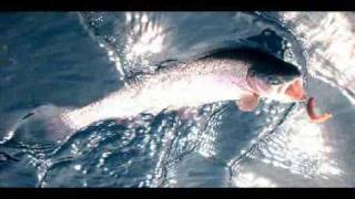 Trout fishing Clear Lake Oregon 5 16 2010 [upl. by Surtemed804]