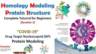 Homology Modeling for Beginners  COVID19 NP Protein Modeling Modeller Tutorial  Bioinformatics [upl. by Lleoj]