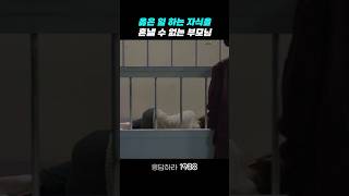 옳은 일 하는 자식을 혼낼 수 없는 부모 응답하라1988 응답하라1988명장면 [upl. by Anse]