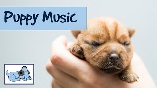 Soft Music for Puppies  Calm Down Your Puppy [upl. by Airdnua211]