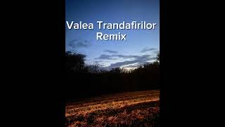 Valea Trandafirilor  Remix [upl. by Dragon]