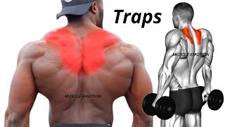 TRAPS WORKOUT top 5 traps exercises at gym  UPPER TRAPS  MIDDDLE TRAPS  LOWER TRAPS [upl. by Cissie16]