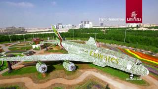 Emirates A380 at Dubai Miracle Garden  Emirates Airline [upl. by Silecara]