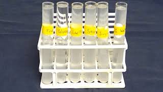 Carbohydrates fermentation test [upl. by Terrie405]