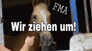 Die Pferde ziehen auf unseren Hof FMA [upl. by Nosyla]