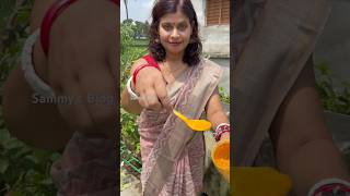 🍀 গাছে গুড়ো হলুদ দিলে কি হয় দেখুন 🌸turmeric instead of fungicide garden foryou [upl. by Salkcin]