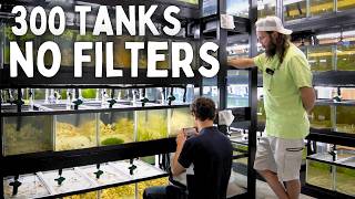 300 Aquariums with NO FILTERS  In Depth Tour [upl. by Calypso]