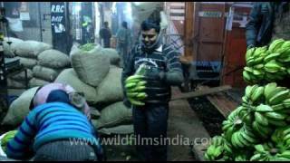 Wholesale Vegetable Market in Azadpur New Delhi [upl. by Lawlor]